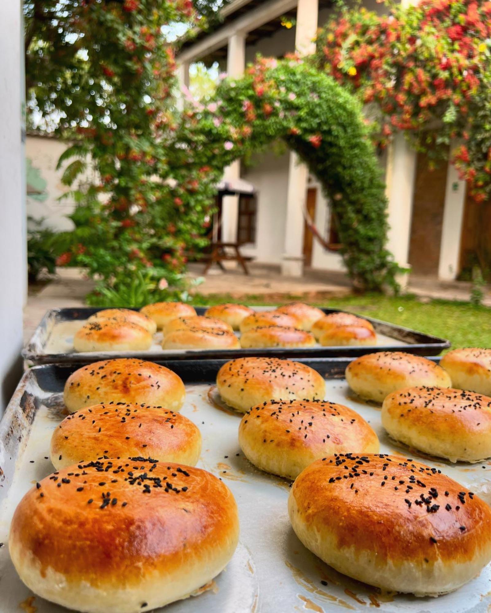 Jardin Cafe Hostal&Restaurant Gracias Exterior foto